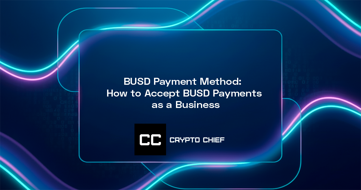 BUSD Payment Method: How to Accept BUSD Payments as a Business